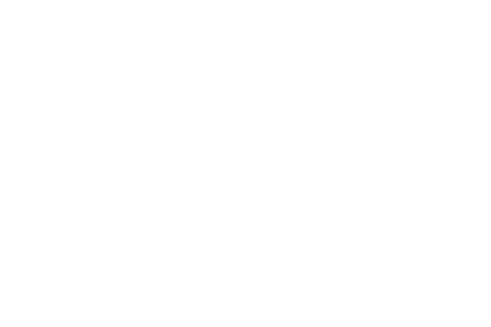 Technical diagram of the Kevin Kailuen Design mascot